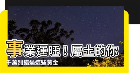 金土行業|【屬土的職業】 事業運旺！屬土人的黃金職業指南